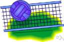 volleyball net