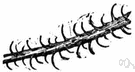 pricker - a small sharp-pointed tip resembling a spike on a stem or leaf