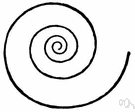 swirl - the shape of something rotating rapidly