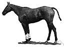 assault - thoroughbred that won the triple crown in 1946