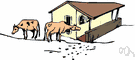 cowbarn - a barn for cows