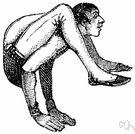 contortionist - an acrobat able to twist into unusual positions