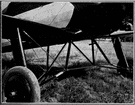 landing gear - an undercarriage that supports the weight of the plane when it is on the ground