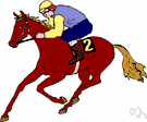 bangtail - a horse bred for racing