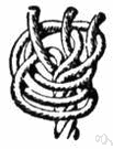 Matthew Walker - a kind of stopper knot