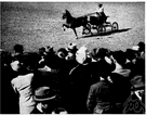 donkey cart - a cart with an underslung axle and two seats