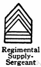 supply officer - a commissioned officer responsible for logistics