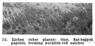 lichen ruber planus - an eruption of shiny flat-topped purplish (usually itchy) papules on the wrist and forearms and thighs