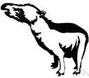 genus Tapirus