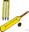 cricket equipment - sports equipment used in playing cricket