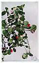 twinberry - creeping woody plant of eastern North America with shiny evergreen leaves and scarlet berries