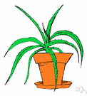 pot plant - a plant suitable for growing in a flowerpot (especially indoors)