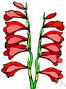 glad - any of numerous plants of the genus Gladiolus native chiefly to tropical and South Africa having sword-shaped leaves and one-sided spikes of brightly colored funnel-shaped flowers
