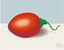 tree tomato