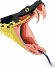 pit viper - New World vipers with hollow fangs and a heat-sensitive pit on each side of the head