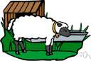 sheep bell