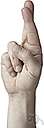 ASL - the sign language used in the United States