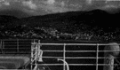 Madeira River - a Brazilian river