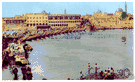 Tigris - an Asian river