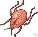 mouthpart - any part of the mouth of an insect or other arthropod especially one adapted to a specific way of feeding