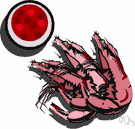 crayfish - small freshwater decapod crustacean that resembles a lobster