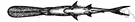 Polyodon - type genus of the Polyodontidae
