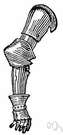 brassard - armor plate that protects the arm