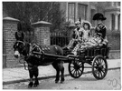 moke - British informal for donkey