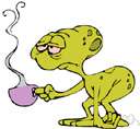 morning