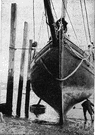 pilot boat - a boat to carry pilots to and from large ships
