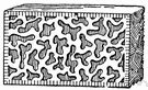 vermiculation - a decoration consisting of wormlike carvings