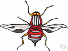 bee fly - hairy nectar-eating fly that resembles a bee