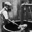 potassium hydroxide - a potassium compound often used in agriculture and industry