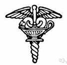nursing school - a school for training nurses