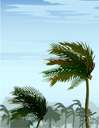 south wind - a wind from the south