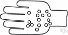 varicella zoster virus - the member of the herpes virus family that is responsible for chickenpox