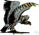 Cathartes aura - a New World vulture that is common in South America and Central America and the southern United States