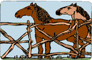 cow pen - a pen for cattle