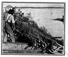 Salton Sea - a saltwater lake in southeastern California