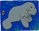 mid-water - the water that is well below the surface but also well above the bottom