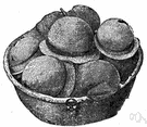 wood coal - a carbonaceous material obtained by heating wood or other organic matter in the absence of air