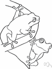 amphibiotic - having an aquatic early or larval form and a terrestrial adult form