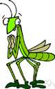 Manteidae - mantises
