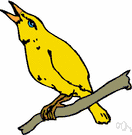 Twitterer - a bird that twitters