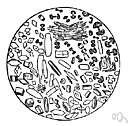 uric acid