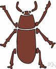 darkling beetle - sluggish hard-bodied black terrestrial weevil whose larvae feed on e.g. decaying plant material or grain