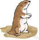 whitetail prairie dog
