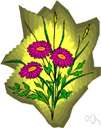 tansy leaf aster - wild aster with fernlike leaves and flower heads with very narrow bright purple rays