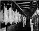 packinghouse - a plant where livestock are slaughtered and processed and packed as meat products