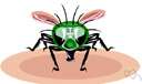 vinegar fly